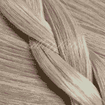 产品模板 - Image 5